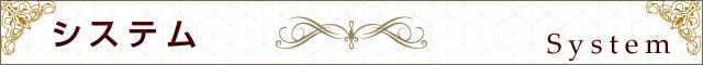 「System Title」